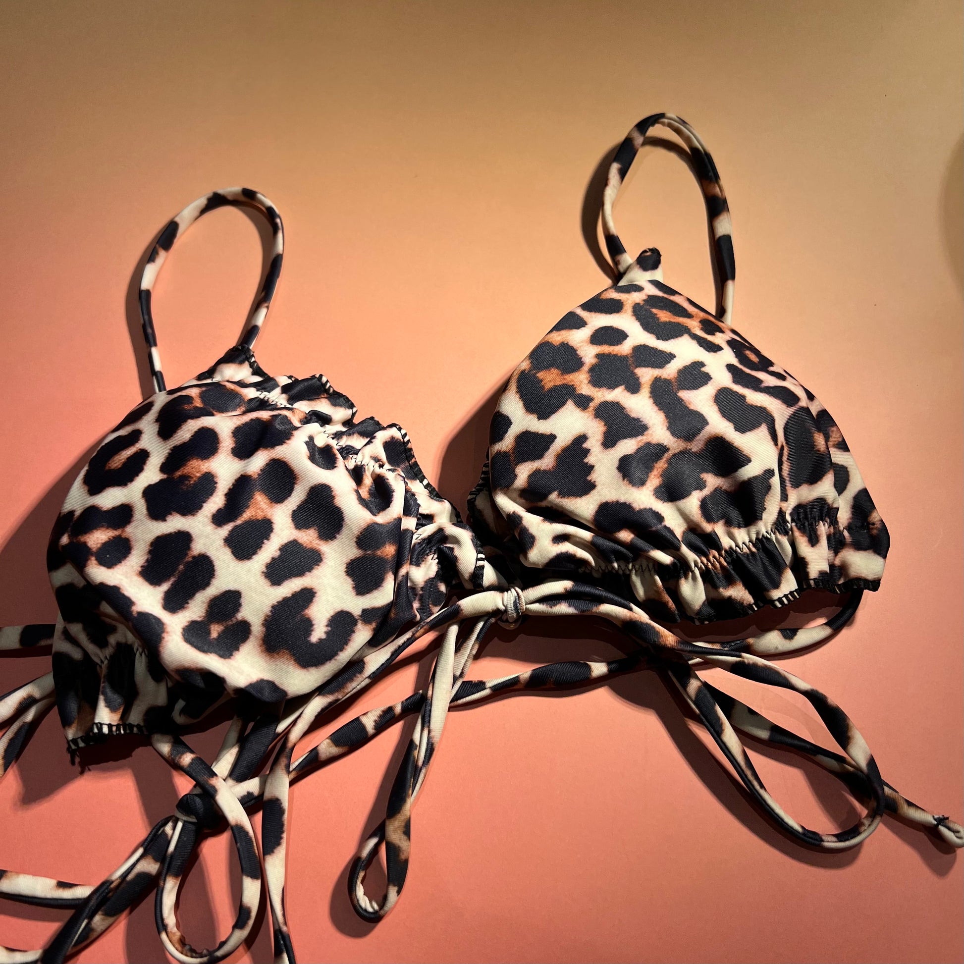Animal Print Swimwear Leopard Print Bikini